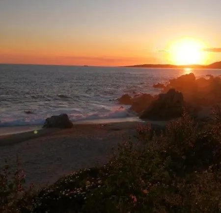 Maison Alba Rossa 55 * Serra-di-Ferro (Corsica)